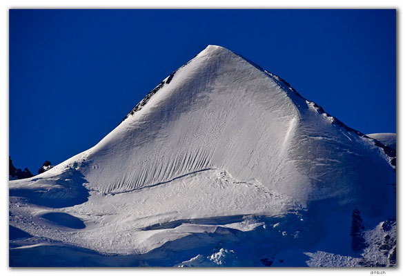 GW0696.Silberhorn