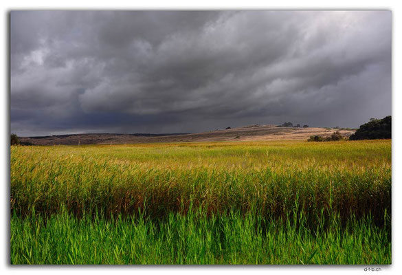 AU1192.Gellibrand River bevor Storm