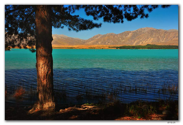 NZ0772.Lake Tekapo