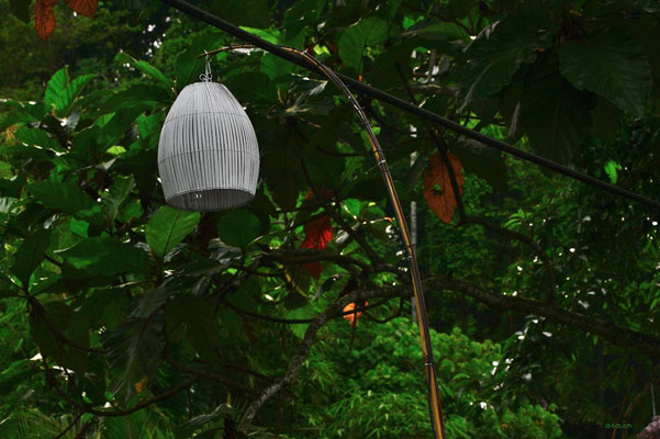 Indonesien.Bali.Ubud