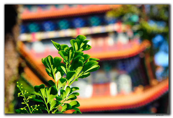 HK0023.Big Buddha Monastery