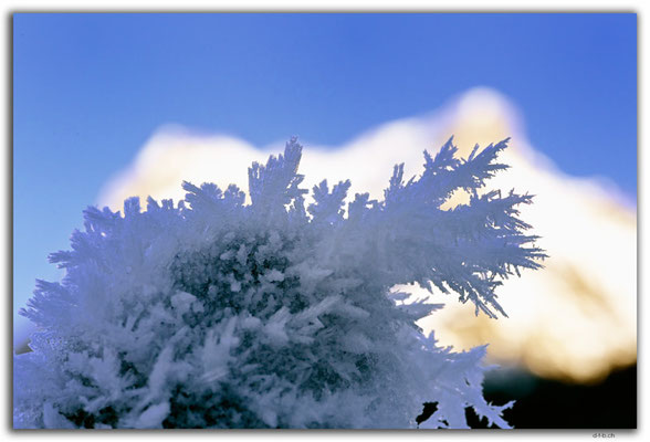 GW0655.Ice crystals