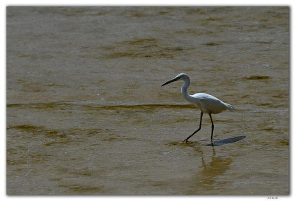 SR0008.Paramaribo.Suriname River