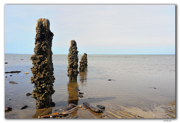 NZ0637.Collingwood beach