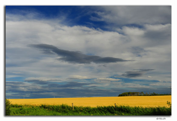 CA0571.Fields at Dawson Creek