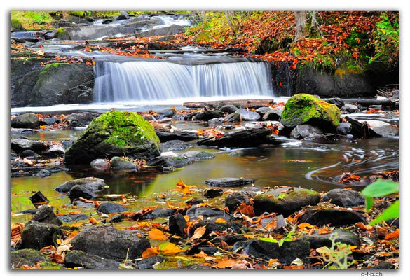 CA1010.Weedon.Parc du vieux moulin