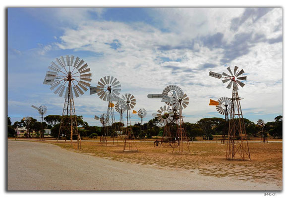 AU0969.Penong.Windmill Museum