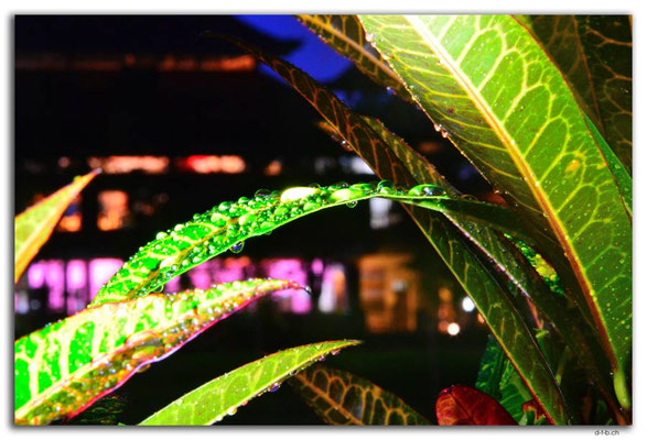 ID0042.Ubud.Regentropfen