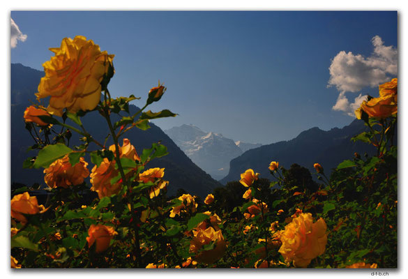 CH1067.Interlaken und Jungfrau