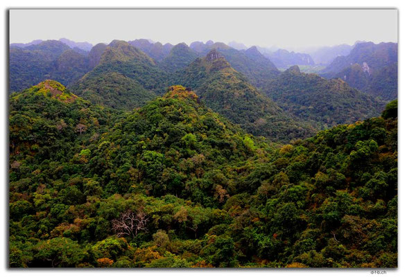 VN0023.Cat Ba