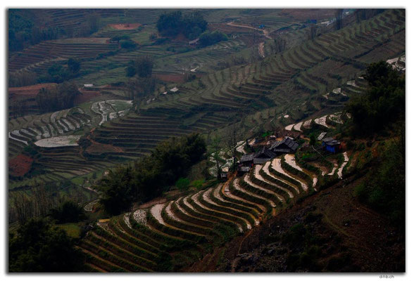 VN0063.Sapa.Muong Hoa Valley