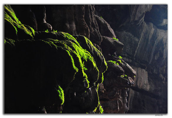 VN0124.Ma Da-Valley.Elephant Cave