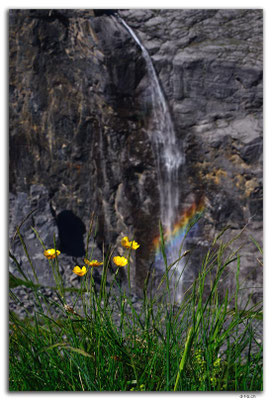 GW0112.Schlosslowina Bach Fall