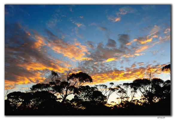 AU0977.Abendrot