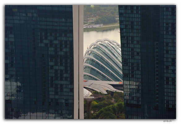 SIN0011.Marina Bay Sands and Flower Dome