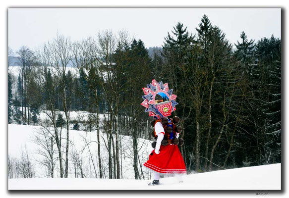 CH1011.Silvesterchlausen.Waldstatt