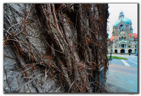 DE335.Hannover.Rathaus