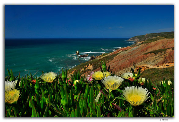 PT0089.Foz do Arelho