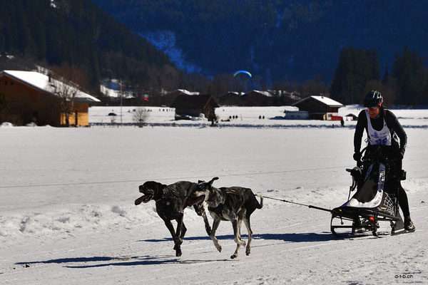 CH1413.SH-Rennen Lenk.Hilfiker Manuela