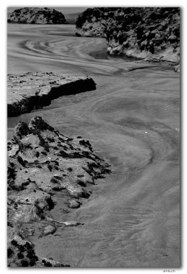 NZ0608.Farewell Spit. Fossil Point.Rocks