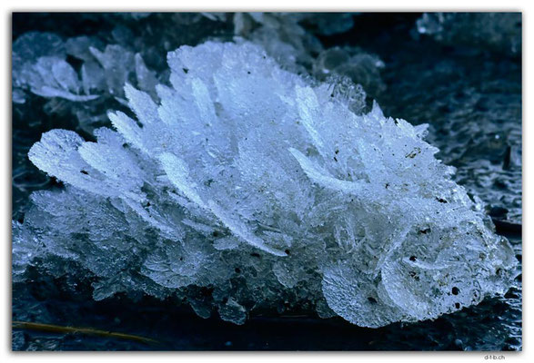 GW0631.Eiskristalle