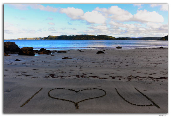 T049.Evening Cove.Stewart Island.NZ.I love U