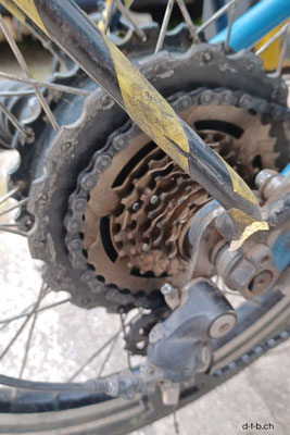 ES: New 6 speed Freewheel