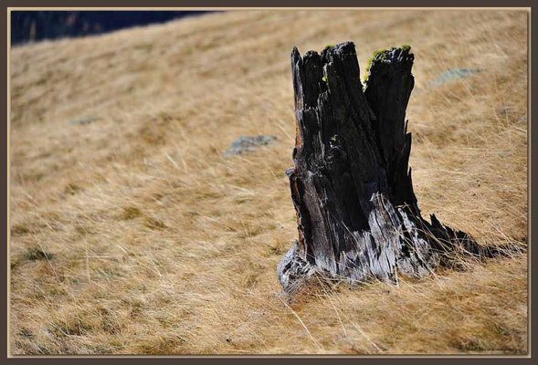 A0707.Nationalpark.CH