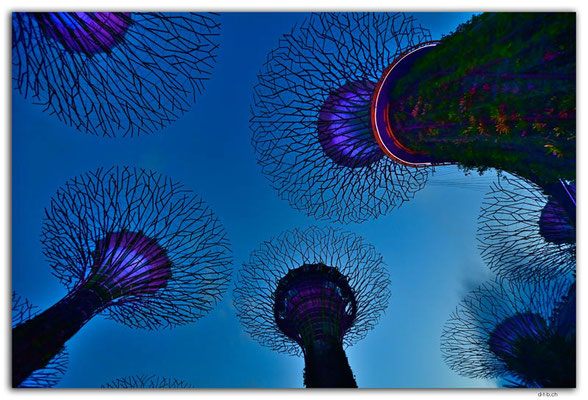 SIN0068.Gardens by the Bay.Supertrees