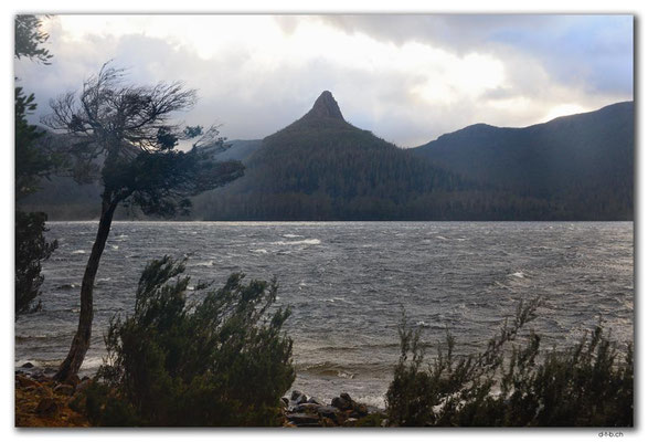 AU1399.Overland Track.Mt.Ida