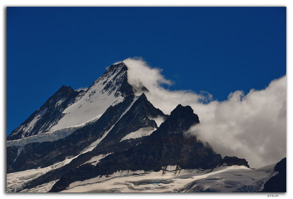 GW0353.Schreckhorn