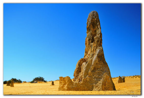 AU0587.Nambung N.P.Pinnacles