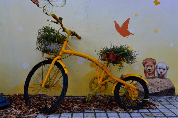 KR: Busan, verziertes Velo