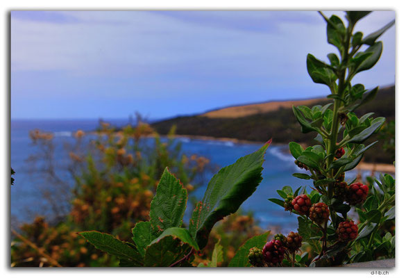 AU1201.Great Ocean Road