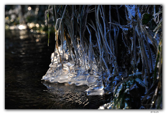 CZ180.Vlčnov.Eisgebilde am Bach