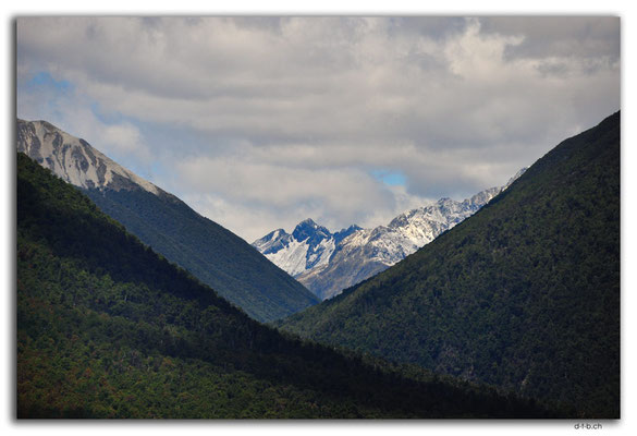 NZ0682.Nelson Lakes N.P.Mt.Dorothy