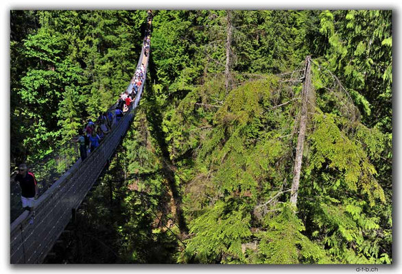CA0509.Vancouver.Capilano Suspension Bridge