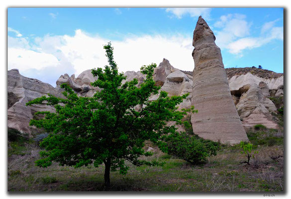 TR0879.Göreme.Love Valley