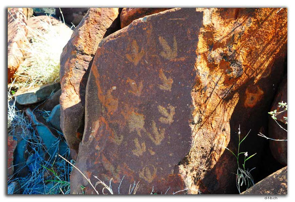 AU0322.Karratha.Rock Art
