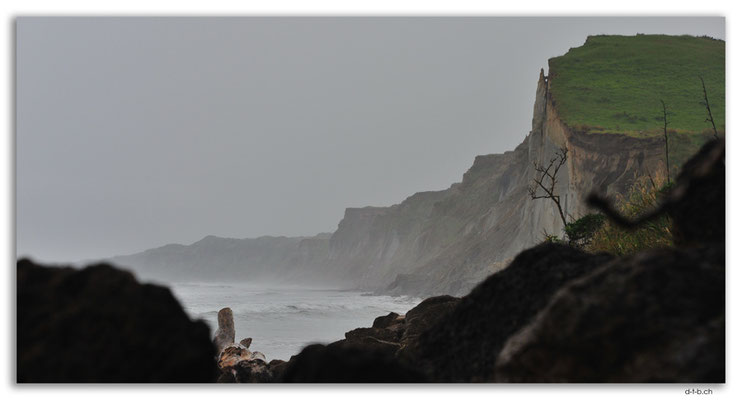 NZ0418.Kai Iwi Beach