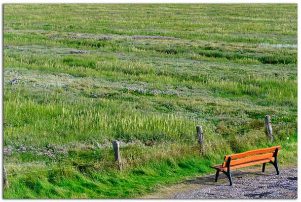 DE105.Amrum.Rastplatz