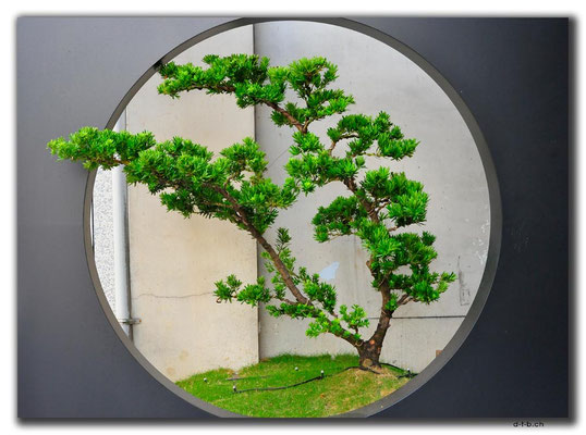 TW0075.Kaohsiung.Mini Garten