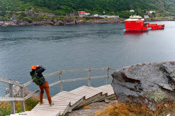Canada.Newfoundland.St.Johns 3