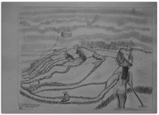 205.Skizze.Tegellalang Rice Terrace.Ubud.Bali.Indonesia