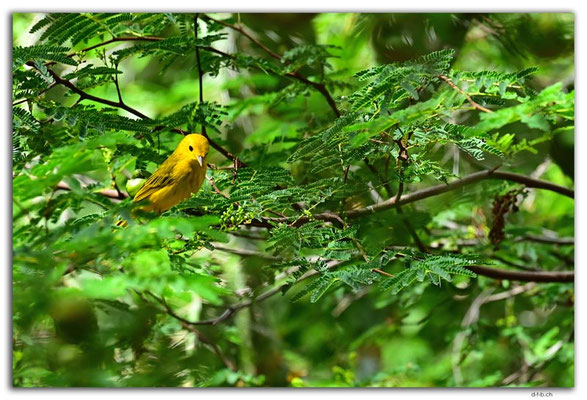 CW0062.Hato Cave