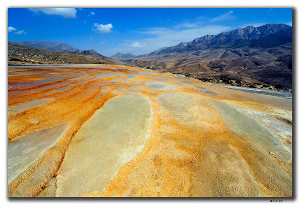 IR0294.Badab Soort