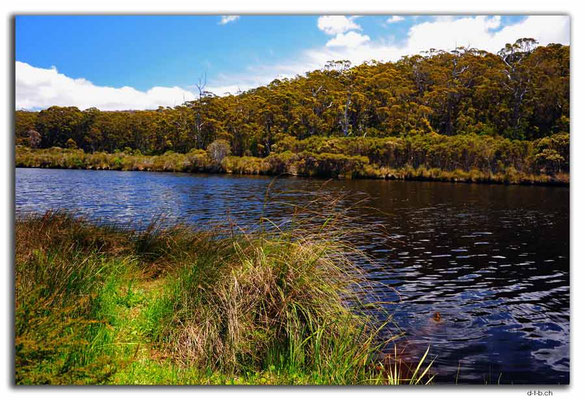 AU0796.Frankland River