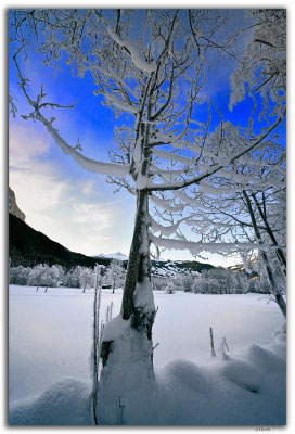 GW0669. Ice crystals