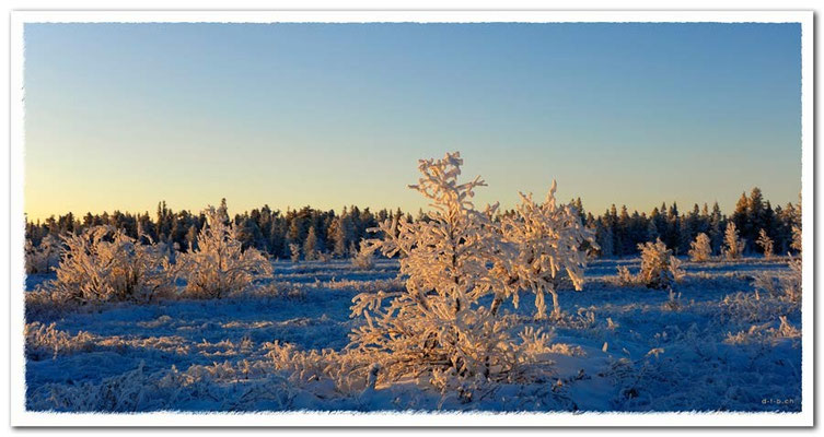 SE0075.Lapland Wilderness