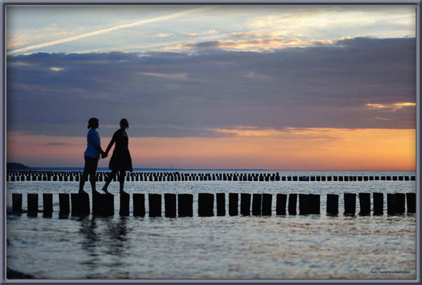 A0487.Freunde.Zingst.